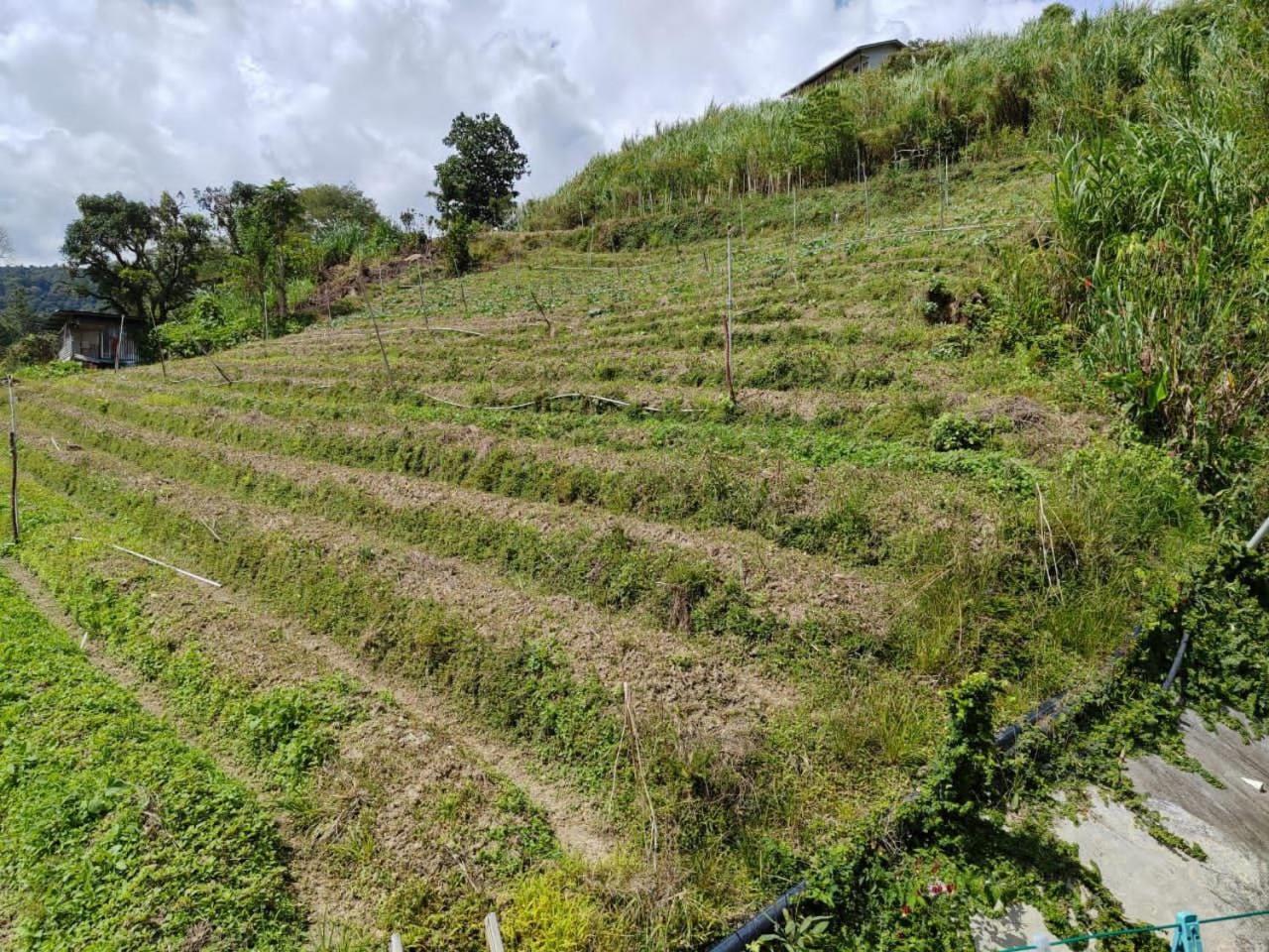 Kundasang Mount Garden Exterior photo