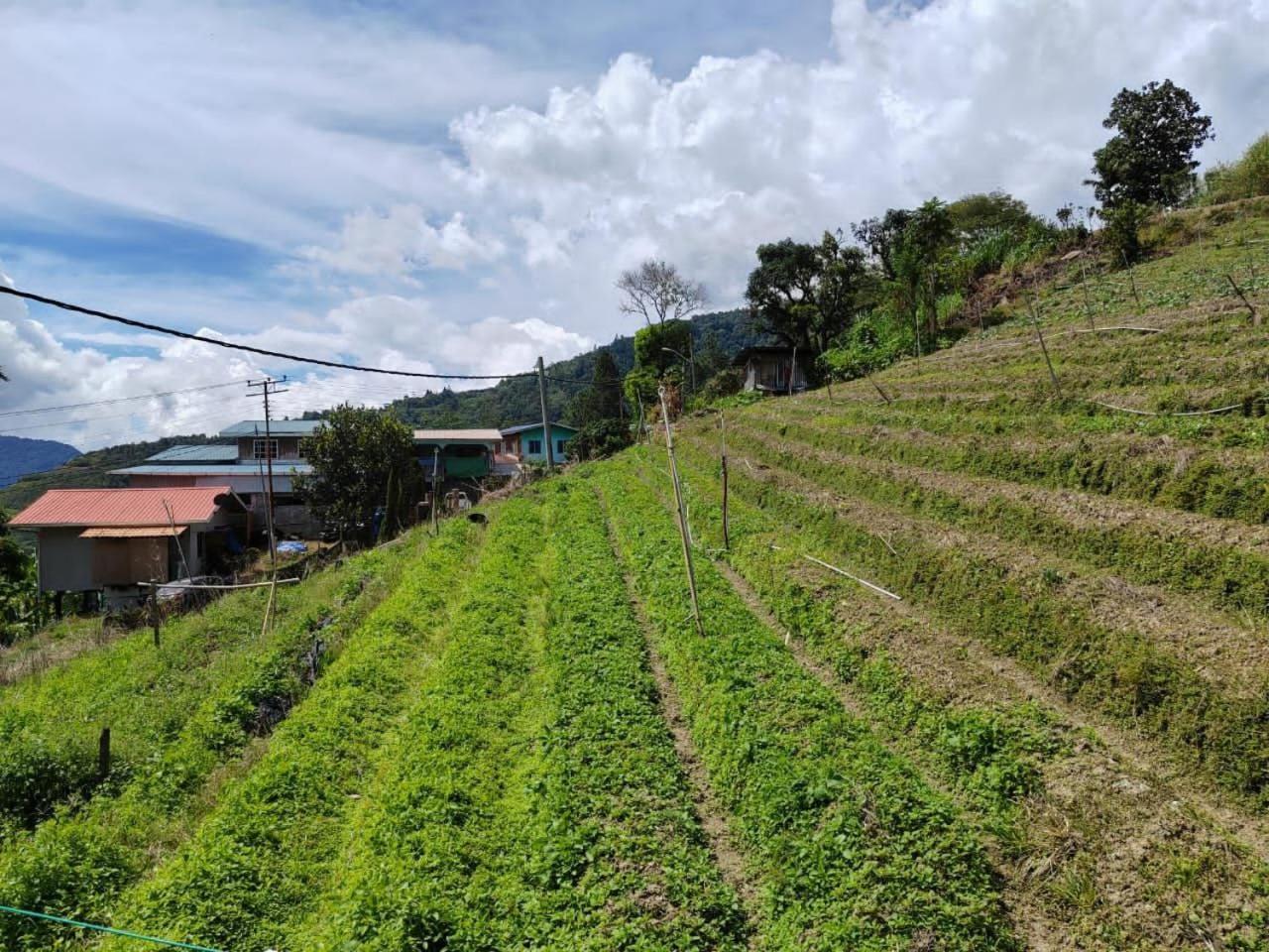 Kundasang Mount Garden Exterior photo